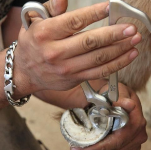 Kleště štípací na rohovinu MFC jednoruční