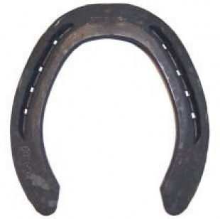 Podkova MEISTER 21x10